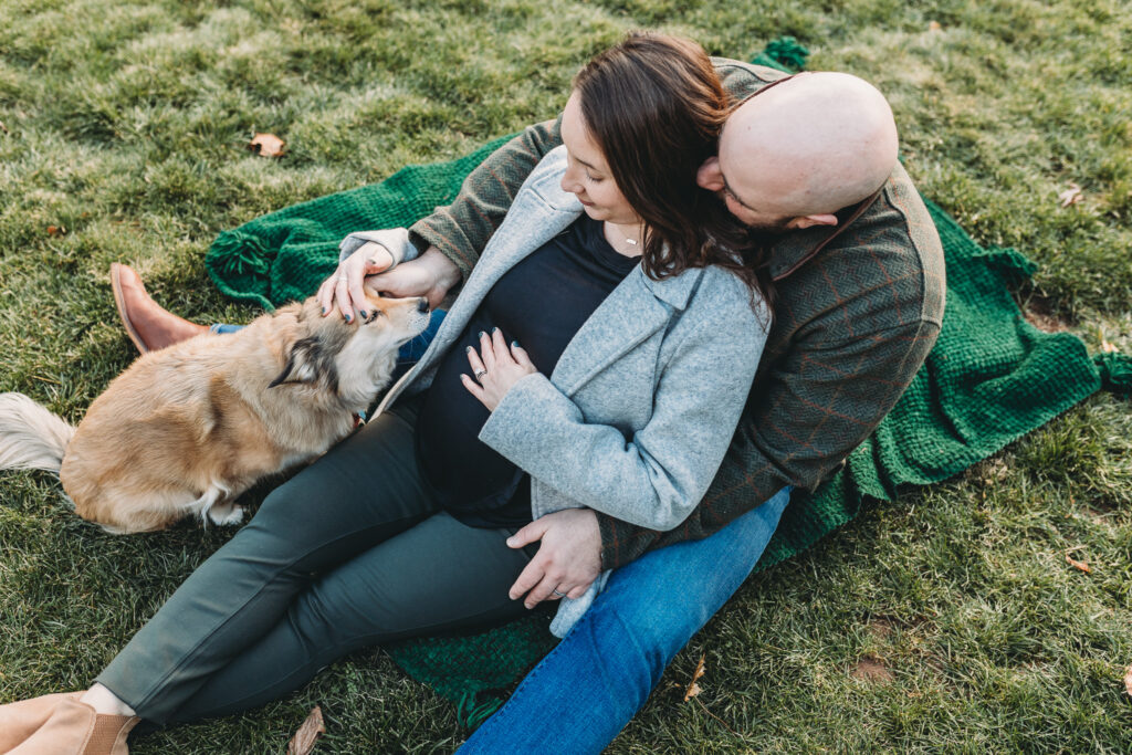 Maternity photoshoot with a dog in Farmington CT at Hillstead Museum Corgi dog photoshoot pet photography