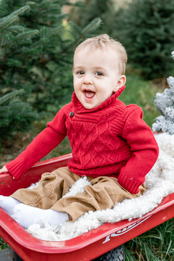 Christmas mini sessions, holiday minis, holiday mini sessions, Christmas in July mini sessions, mini sessions near me