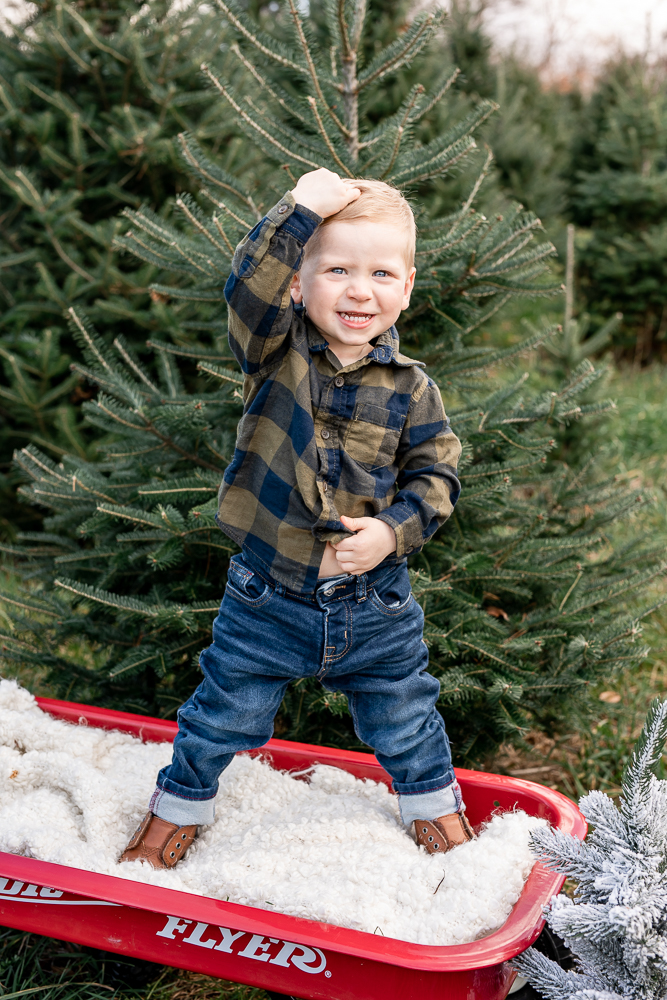 Christmas mini sessions, holiday minis, holiday mini sessions, Christmas in July mini sessions, mini sessions near me
