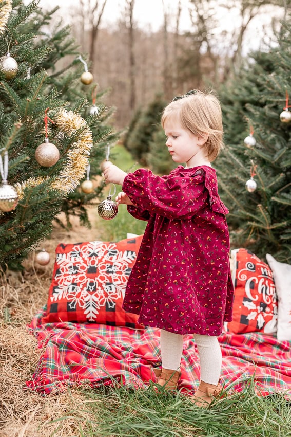 Christmas MINI Sessions in Farmington CT, mini sessions near me, holiday mini sessions, CT mini sessions