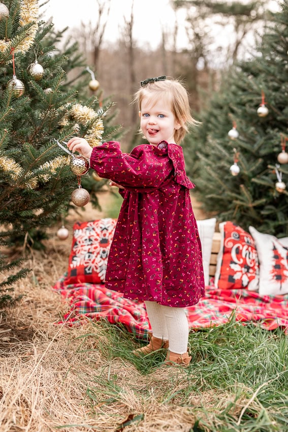 Christmas MINI Sessions in Farmington CT, mini sessions near me, holiday mini sessions, CT mini sessions