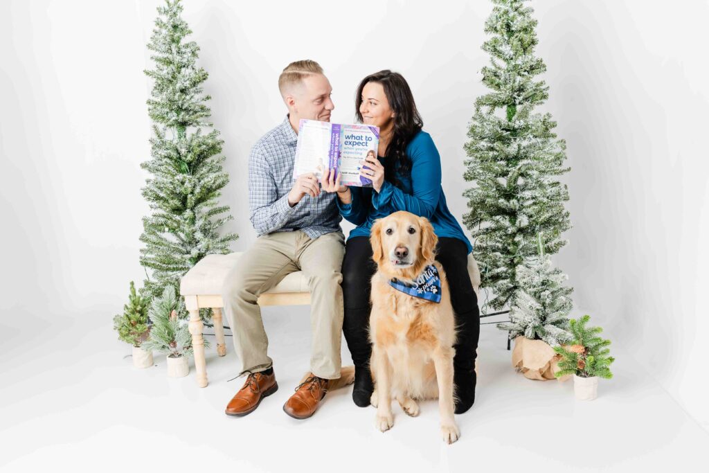 studio christmas mini session Connecticut 