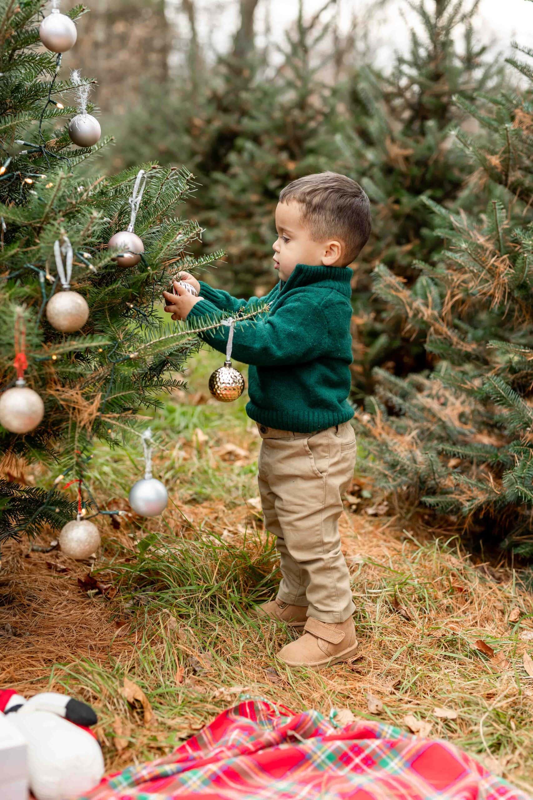 holiday farm Christmas mini sessions Connecticut