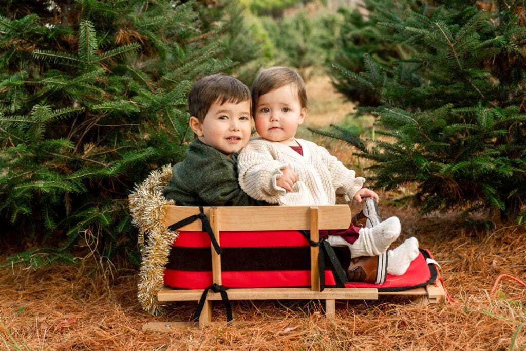 farm christmas mini sessions Connecticut 